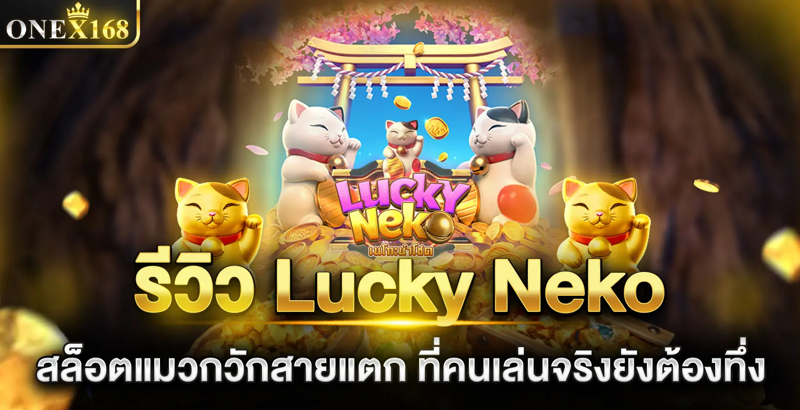 รีวิว Lucky Neko